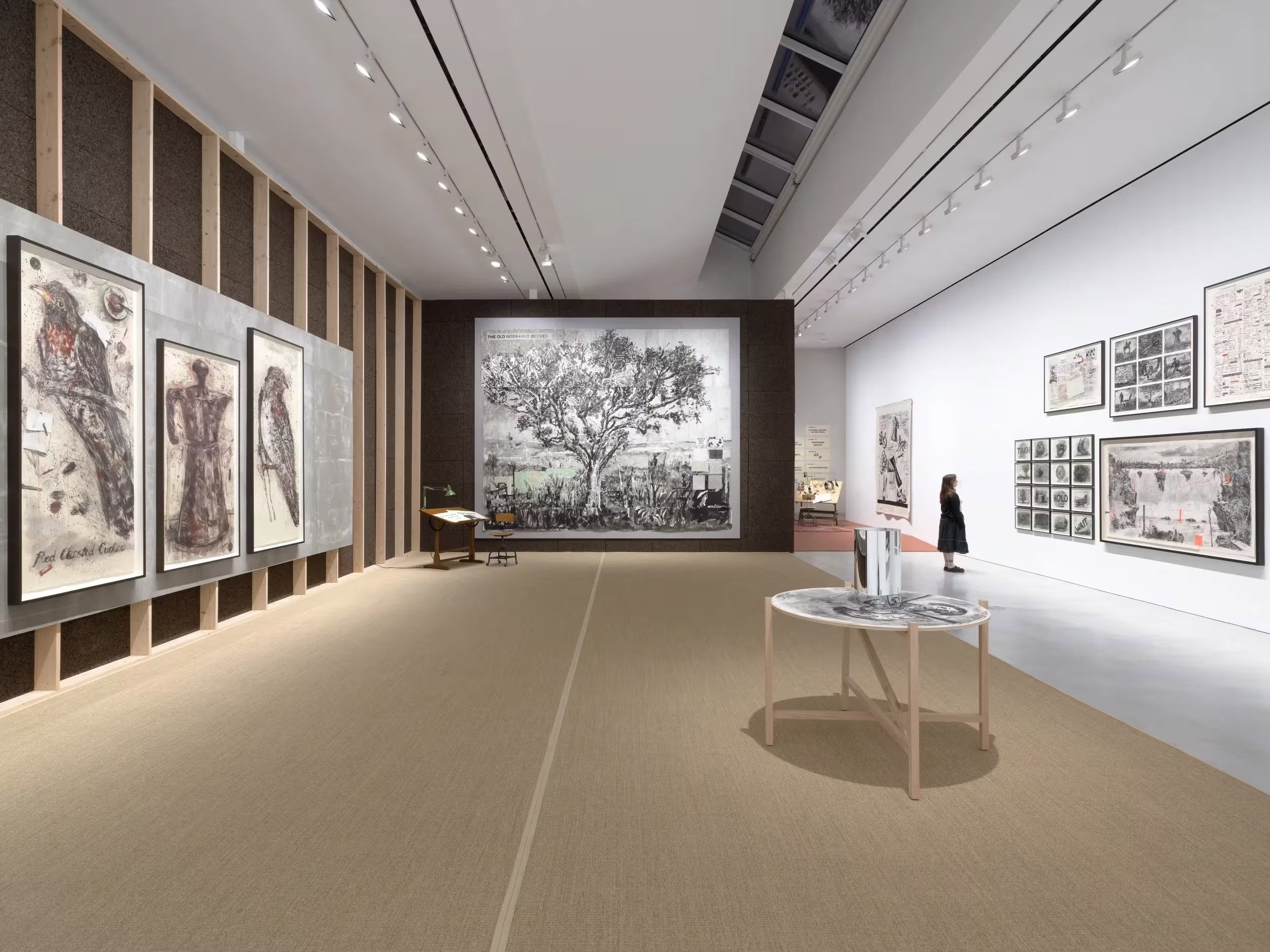 A Natural History of the Studio